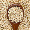 animal feed ingredients Barley Farming and Processing for Food and Feed Industry