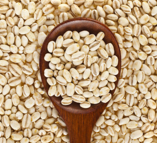 Barley Farming and Processing for Food and Feed Industry