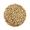 Organic Barley for Human Consumption and Animal Feed