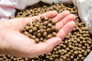 Aquaculture Feed – High-Protein Fish Meal for Fish Farming