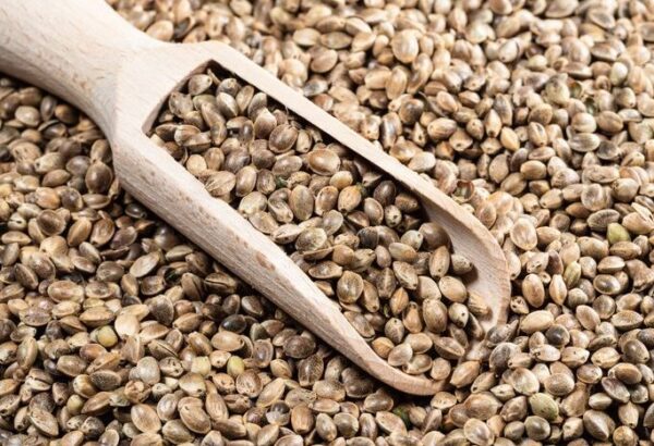 Hemp-seed (1)