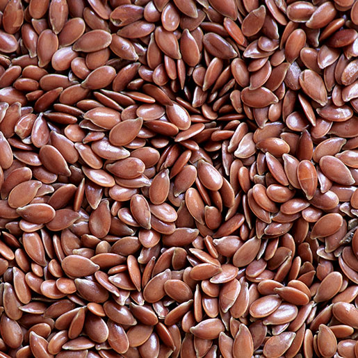 Premium Linseed (Flaxseed) for Oil Extraction and Human Consumption