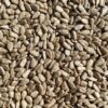 premium organic sunflower seeds, non gmo, organic