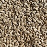 Sunflower-seeds premium organic sunflower seeds, non gmo, organic