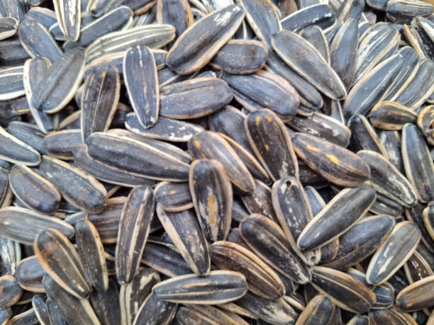 Sunflower Seeds - High-Fiber & Nutrient-Packed