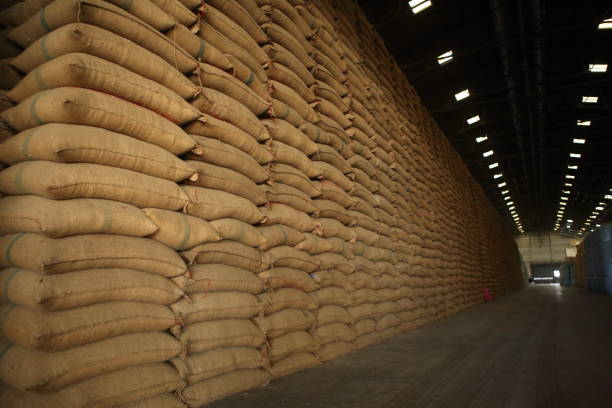 bulk walnut supplier South Africa