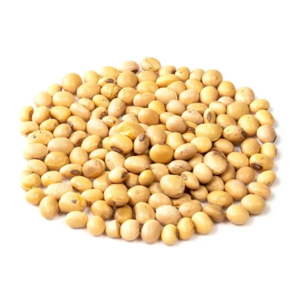 Soybean Farming and Processing for Food and Oil Production