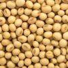 Organic Soya Beans for Human Consumption and Animal Feed