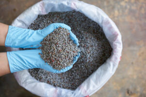 Animal Feed & Seeds (31)