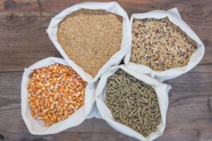 Animal grain bulk feed supply