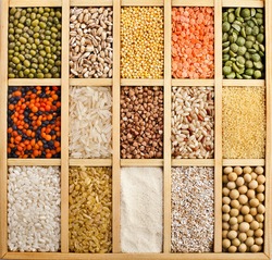 agricultural seed varieties for farming