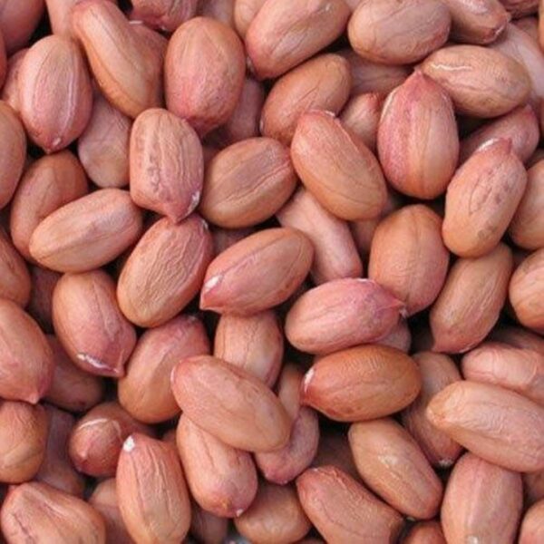 🥜 Peanuts – Premium Quality | Bulk Supply