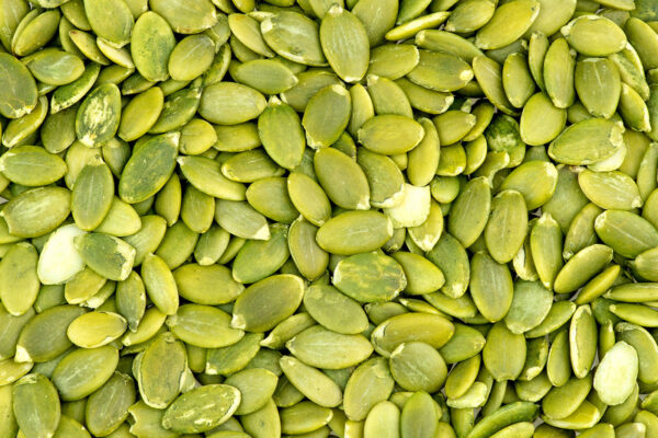 🎃 Pumpkin Seeds – Premium Quality | Bulk Supply