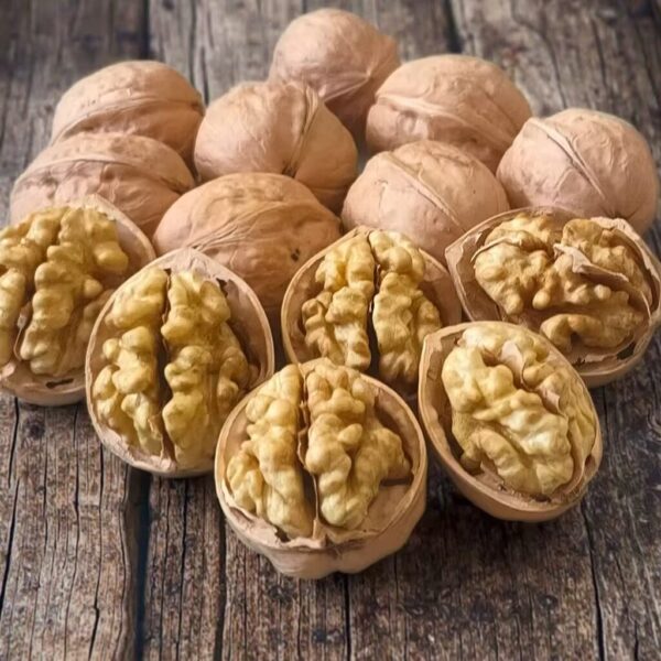 Wholesale walnut halves and pieces available in large quantities for commercial use