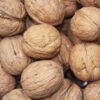 Fresh natural walnuts bulk supply for baking, food processing, and distribution businesses
