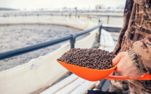 Aquaculture