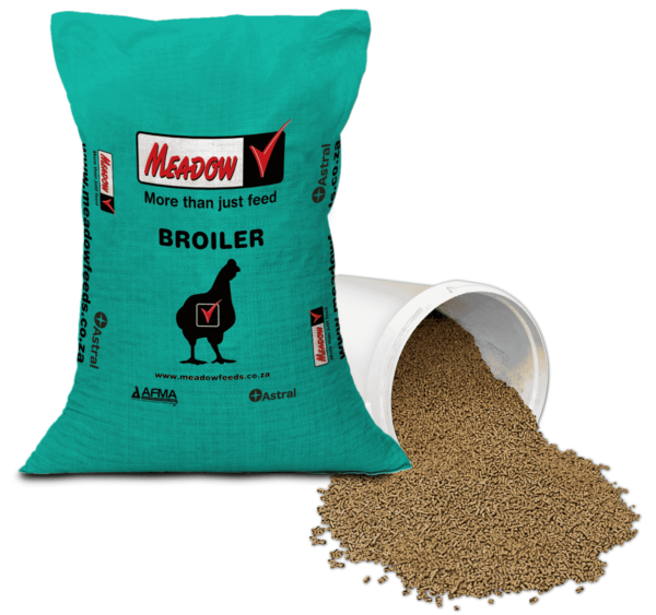 broiler chickens eating poultry feed