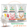 broiler chickens eating poultry feed