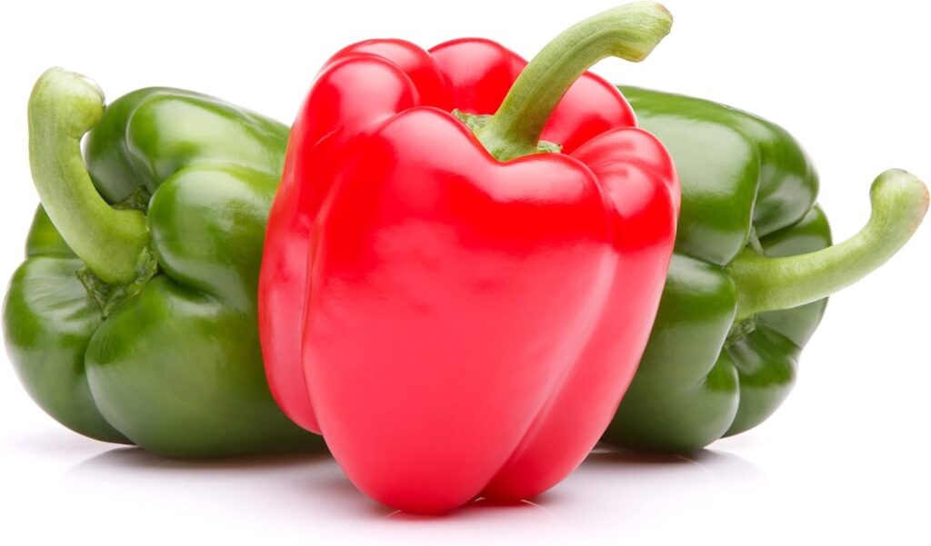 sweet pepper seeds california wonder bulk