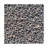 🌿 Canola Seeds – High Oil Yield Variety for Commercial Cultivation