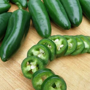 🌶️ Giant Jalapeño Chilli Pepper Seeds – Bold Flavor & Bigger Yields