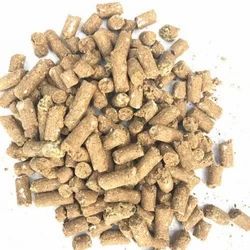 Cattle Feed – High-Performance Bulk Livestock Nutrition