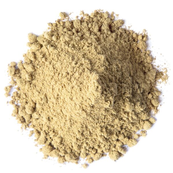 🎃 Granulated Pumpkin Seeds – Bulk Supply for Food & Feed Use