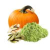 🎃 Granulated Pumpkin Seeds – Bulk Supply for Food & Feed Use