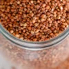 red sorghum grain bulk supply