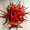 Birds Eye Seeds | Bulk Bird’s Eye Chili Seeds