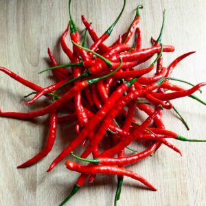 Birds Eye Seeds | Bulk Bird’s Eye Chili Seeds