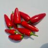 african birds eye chili (2) bulk chili supplier