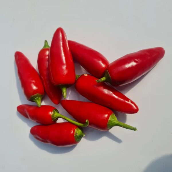 african birds eye chili (2) bulk chili supplier