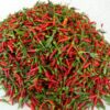 african birds eye chili (3) bird eye chili bulk