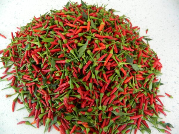african birds eye chili (3) bird eye chili bulk