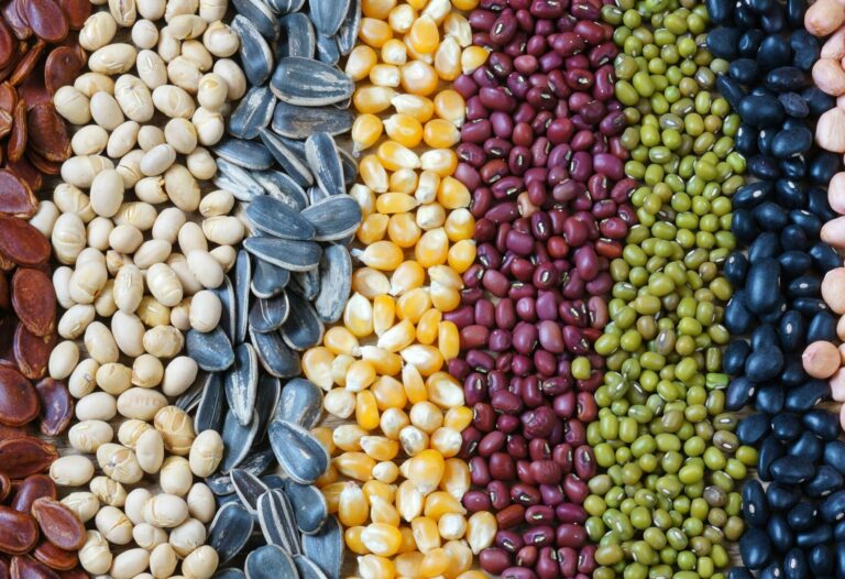 varieties of african agricultural seeds