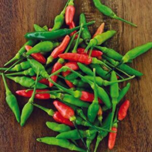 🌶️ Bird’s Eye Chilli Pepper Seeds – Small Pods, Big Heat