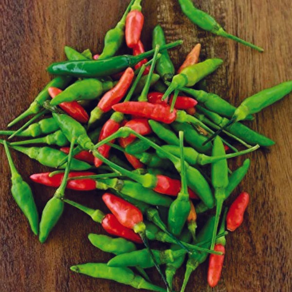 🌶️ Bird’s Eye Chilli Pepper Seeds – Small Pods, Big Heat