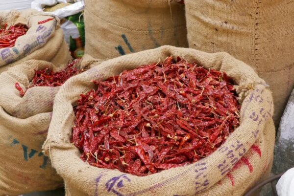 bulk chilli bags African Bird’s Eye Chili | Bulk Chili Supply