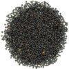 Close-up view of high-quality canola seeds for planting