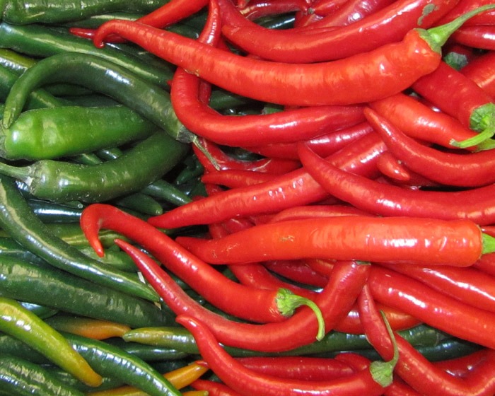 mature african bird eye chili peppers growing in a field, ready for harvest