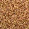 🌿Lucerne (Alfalfa) Seeds – High-Yield Forage for Livestock & Soil Health