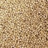 🌾 Sorghum Seeds – Resilient Grain for Food, Feed, and Fodder