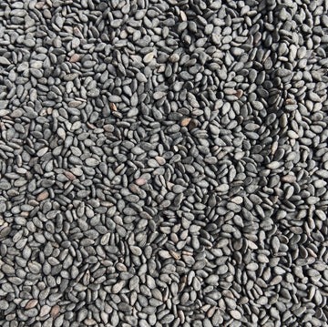 Black-sesame-seeds organic black sesame seeds