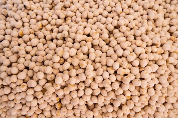 High-quality raw chickpeas from trusted supplier and exporter