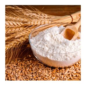 Close-up of high-quality wheat grains