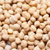 Chickpeas Supplier & Exporter – Bulk Dried Chickpeas