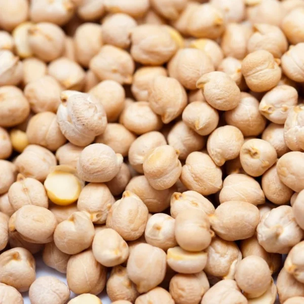 Chickpeas Supplier & Exporter – Bulk Dried Chickpeas