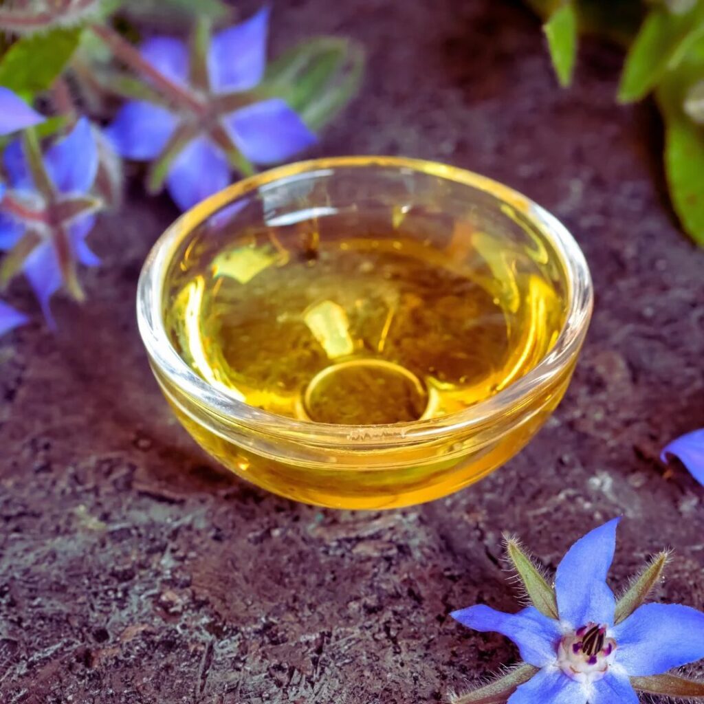 Buy borage oil – anti-inflammatory properties