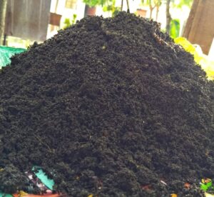 Nutrient-rich organic vermicompost for gardens